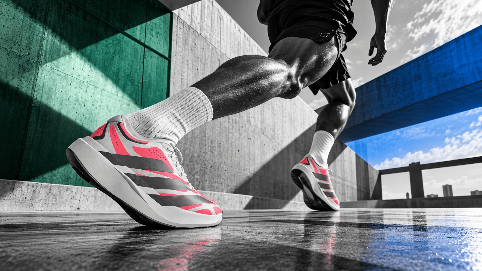 Adidas (inspired interpretation) cover