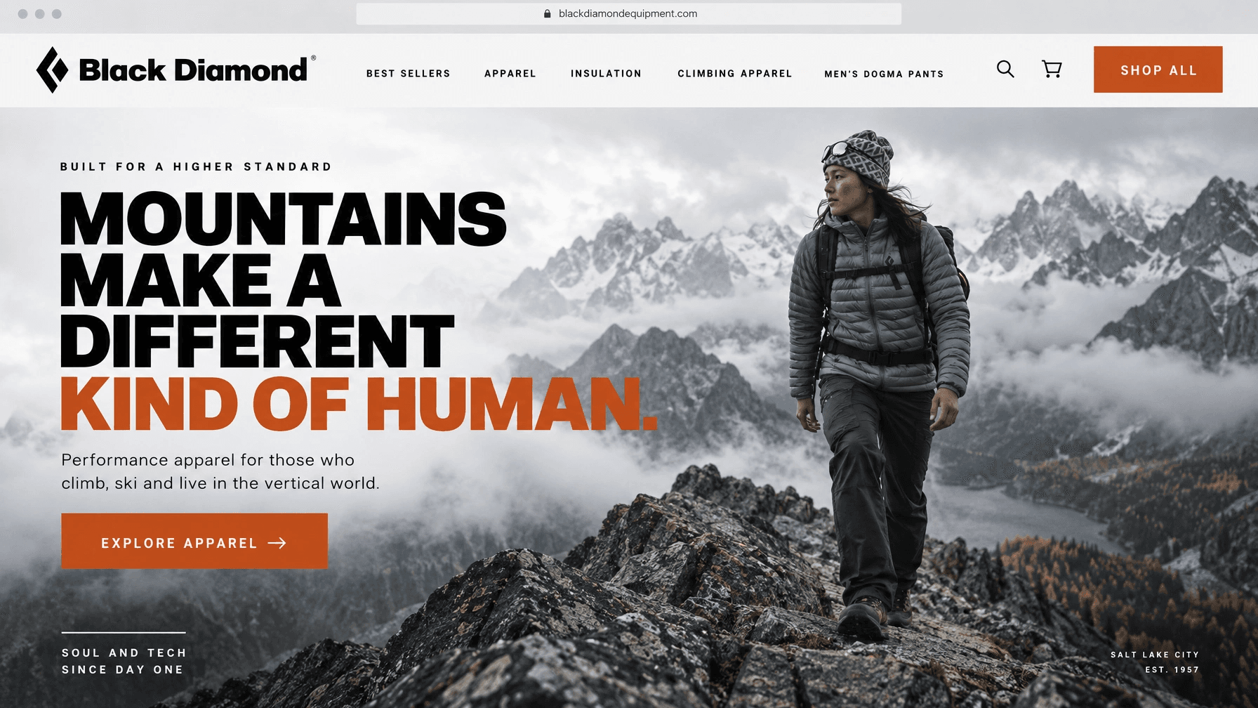 Black Diamond digital web
